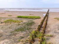 Mandø